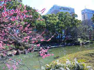 日本庭園のような雰囲気