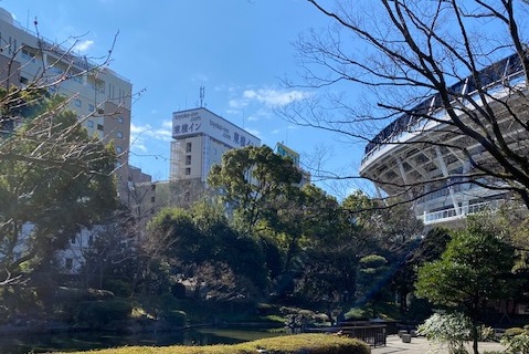 横浜公園から見るホテル
