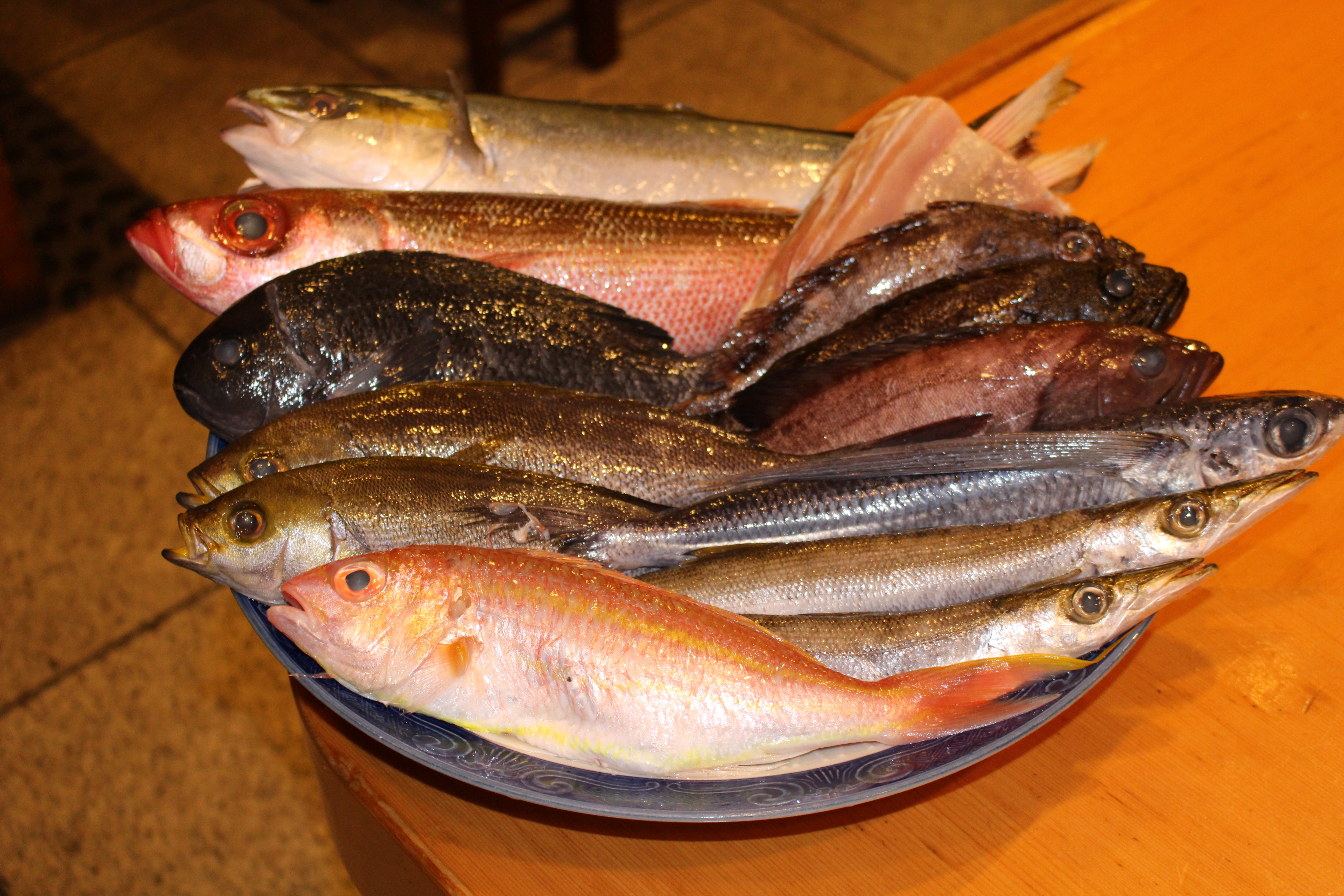 今日のお魚♪