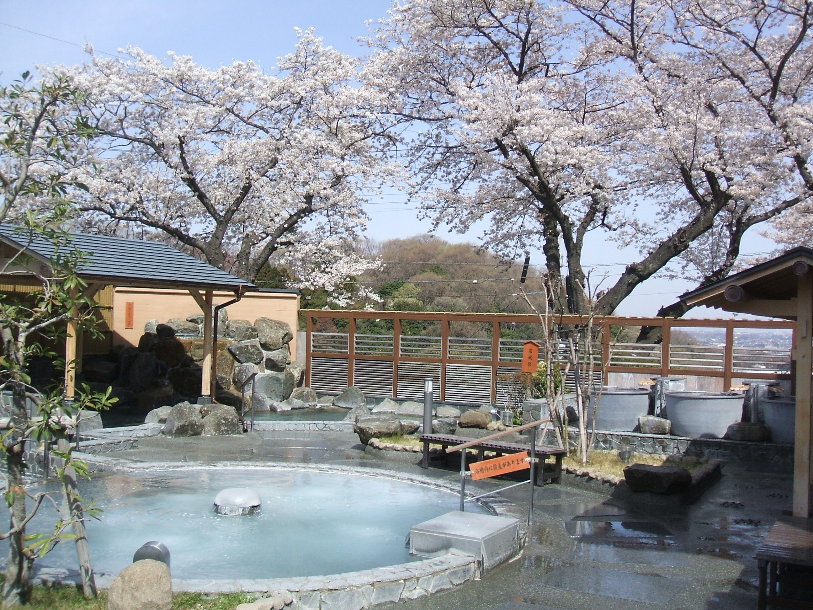 露天風呂(桜の時期)