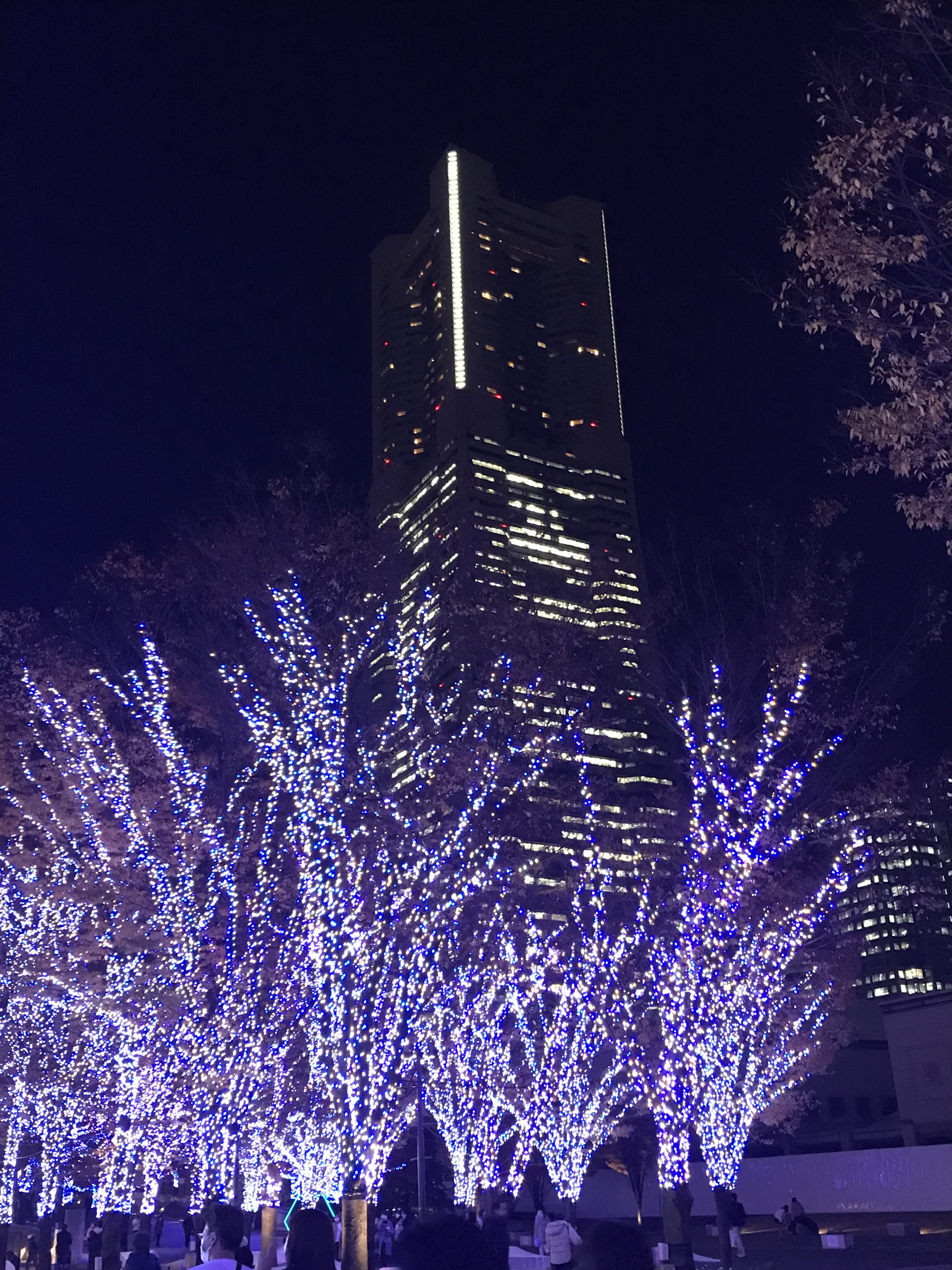 ランドマークタワー周辺イルミネーション