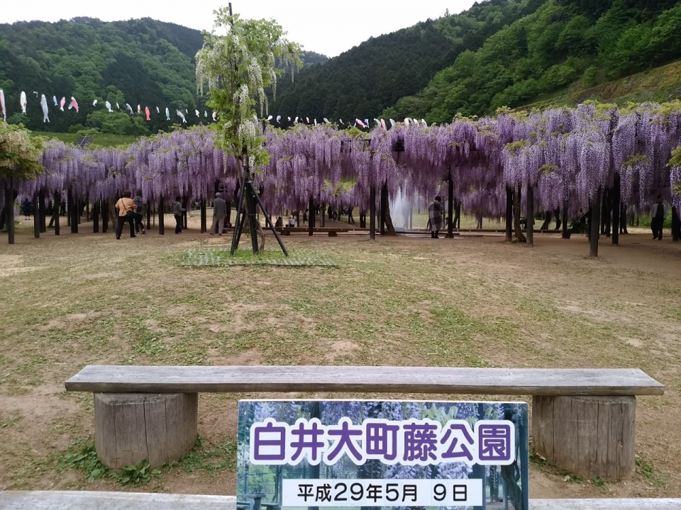 周辺情報詳細 公式 ホテル東横inn姫路駅新幹線南口 兵庫県のホテル 東横イン ホテル ビジネスホテル予約 周辺情報詳細 公式 ホテル東横inn姫路駅新幹線南口 兵庫県のホテル 東横イン ホテル ビジネスホテル予約