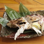 カマの塩焼き