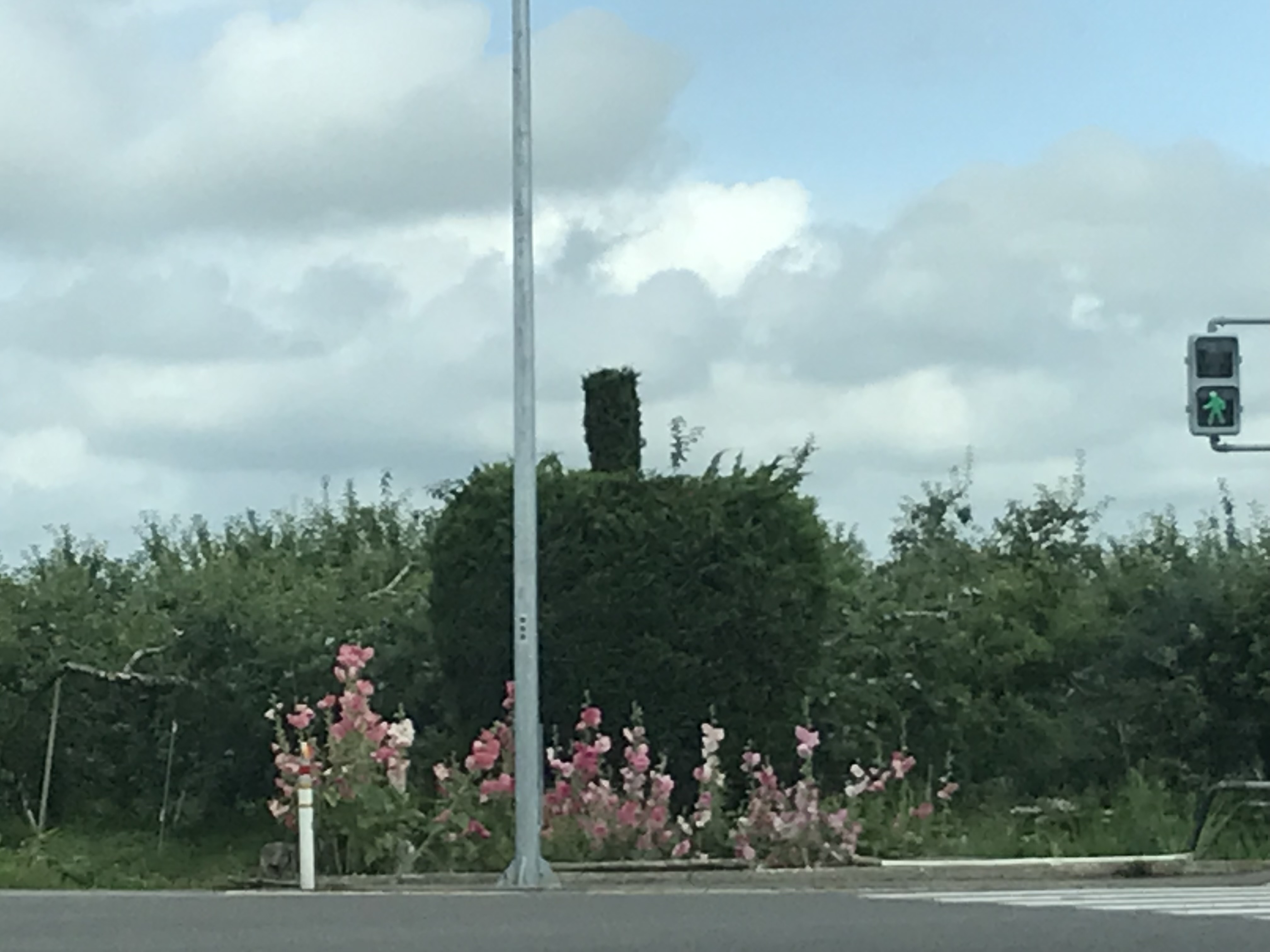 お花に囲まれた大きなリンゴ