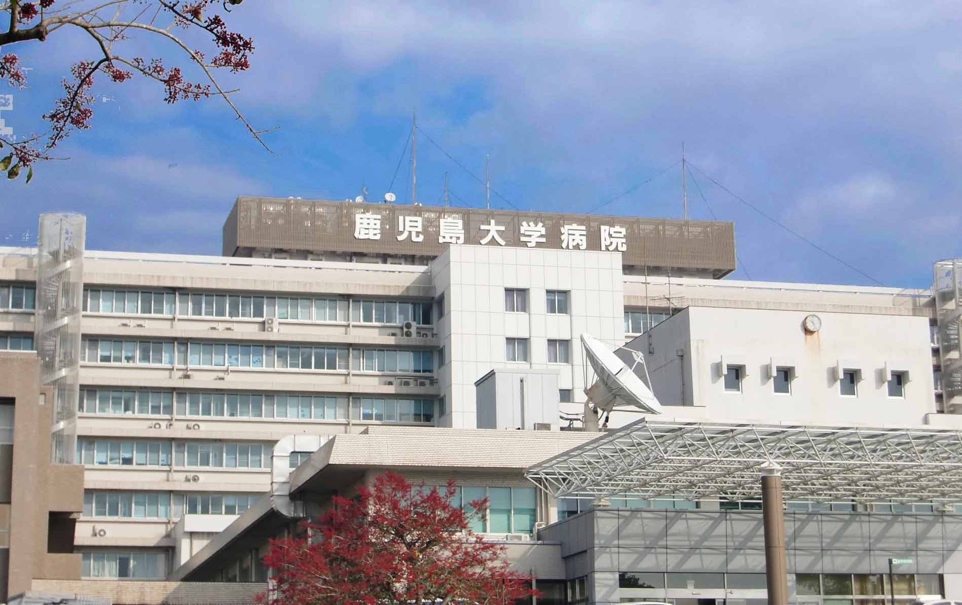 周辺情報詳細 公式 東横イン鹿児島中央駅東口 東横inn 鹿児島県鹿児島市のビジネスホテル予約