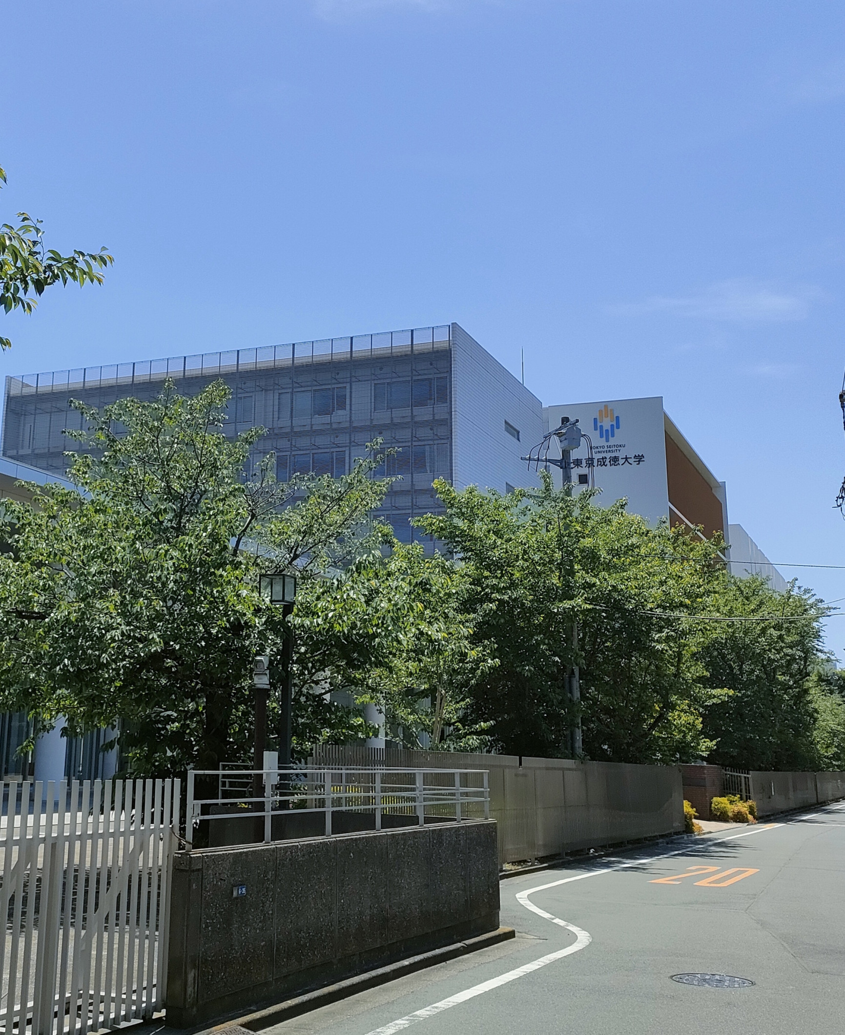 東京成徳大学