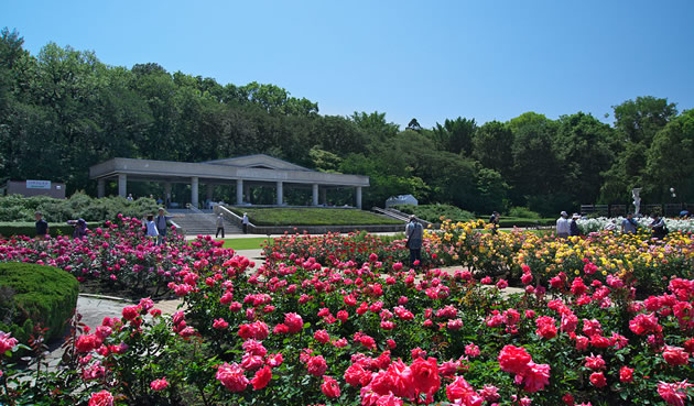 神代植物公園