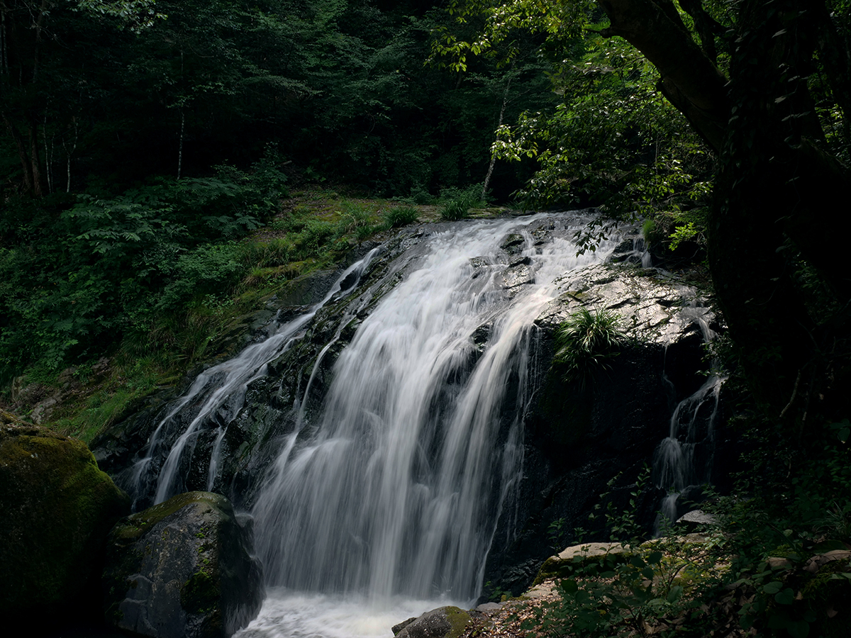 鳴滝