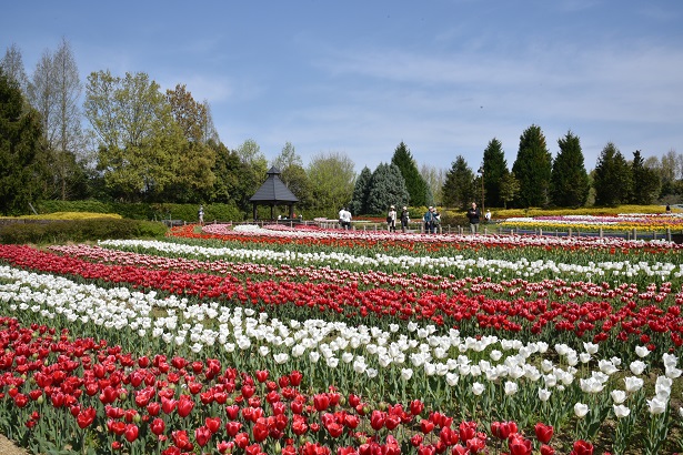 馬見丘陵公園