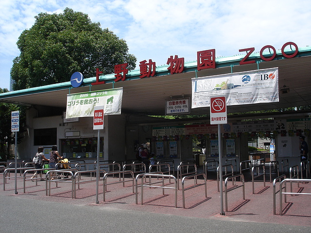 上野動物園　もうすぐ一般公開の双子のぱんだがいます