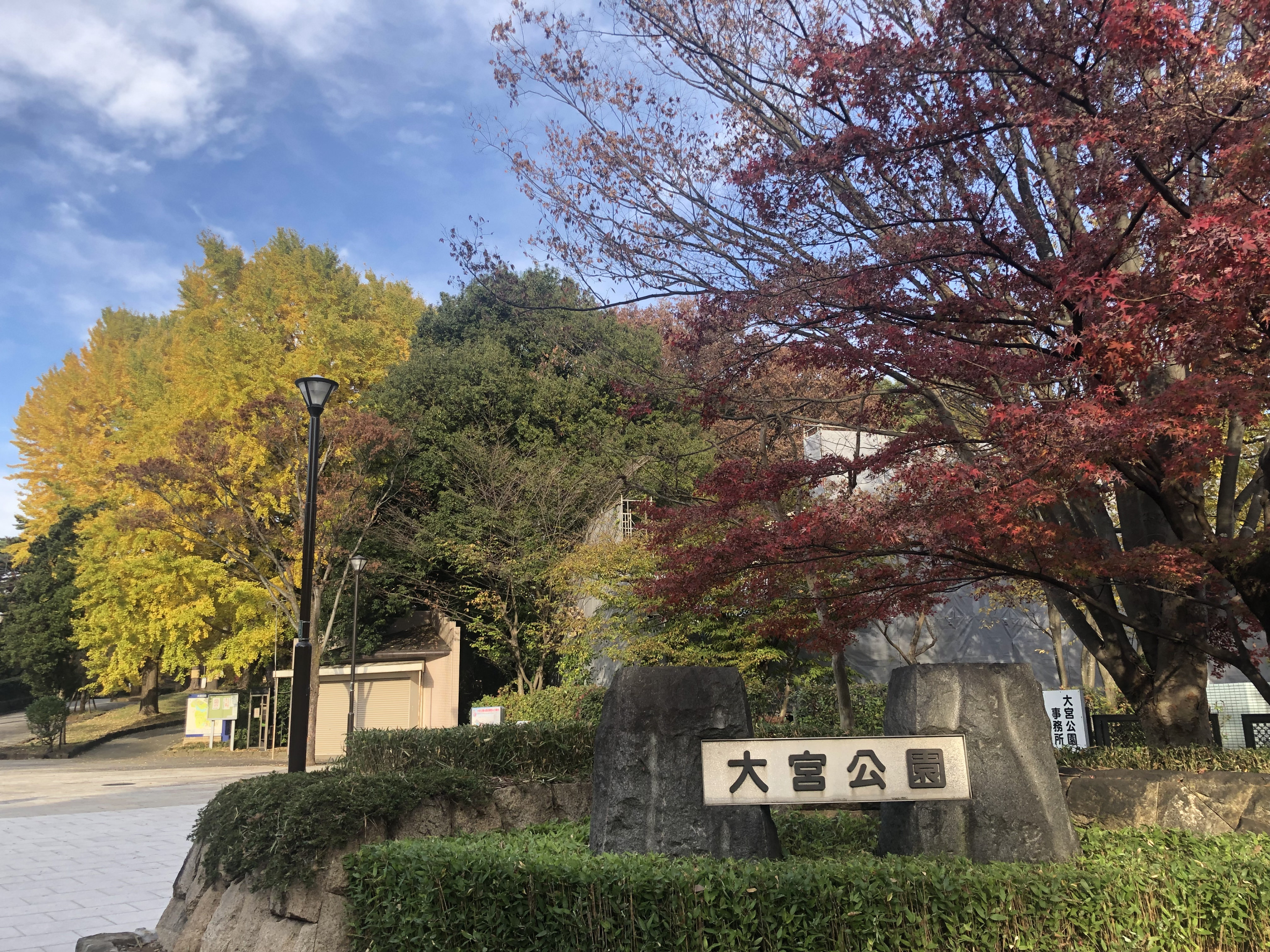 大宮公園