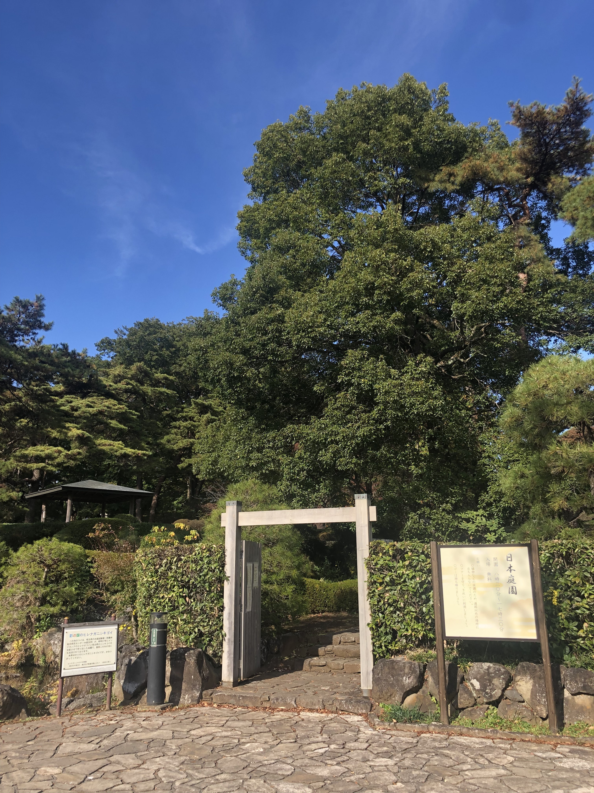 大宮公園内　日本庭園