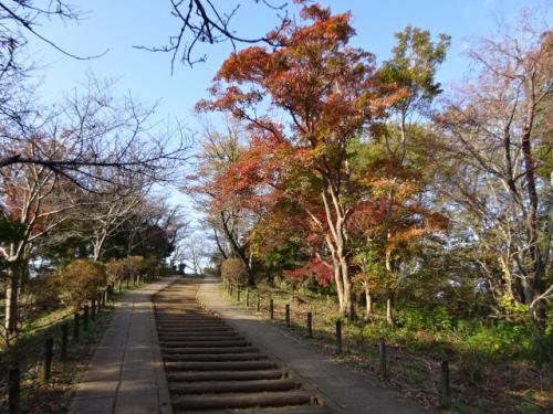 都筑中央公園