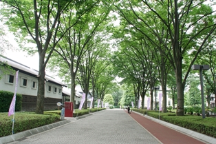 郷土の森公園