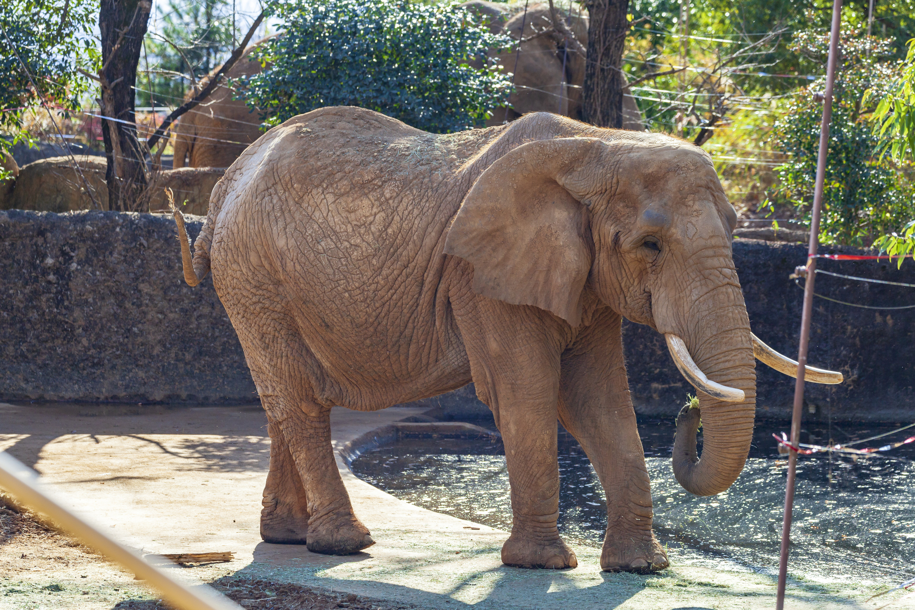 八木山動物公園