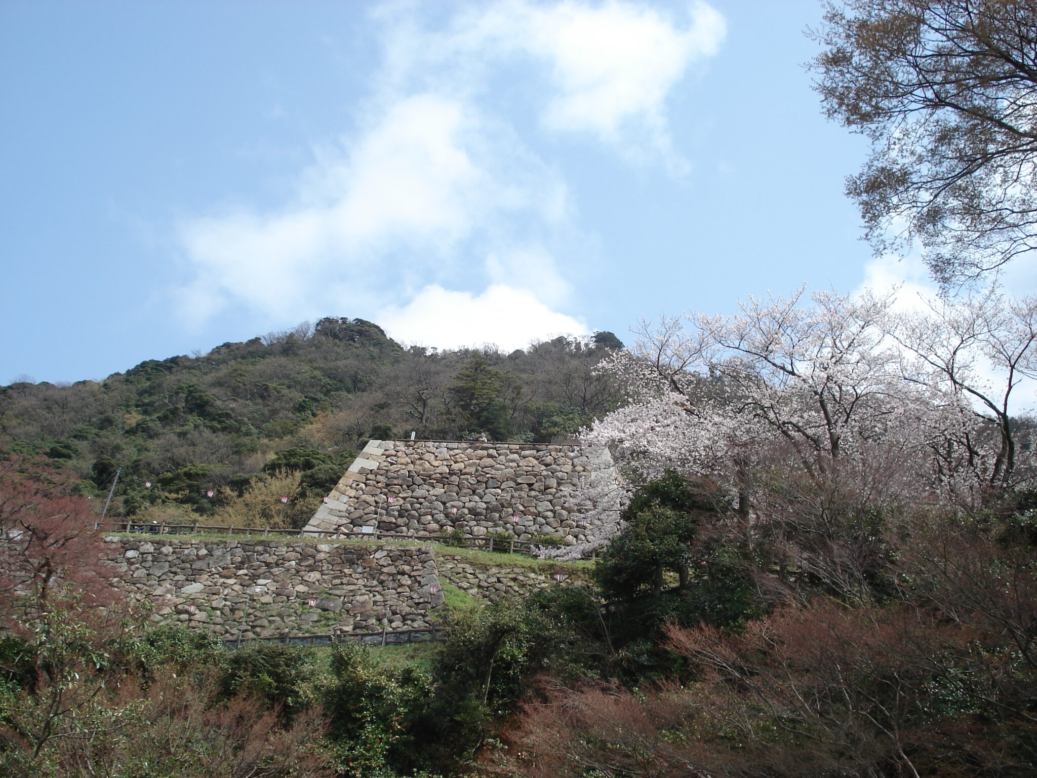 鳥取城