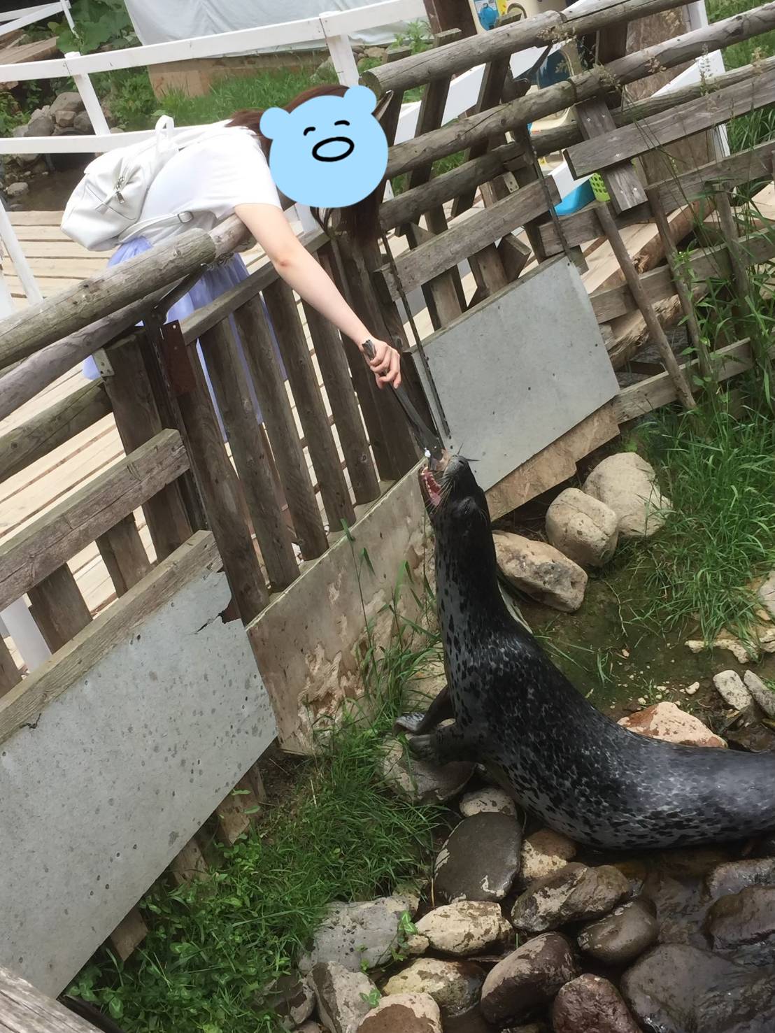 周辺情報詳細 公式 東横イン札幌すすきの交差点 東横inn 北海道札幌市中央区のビジネスホテル予約